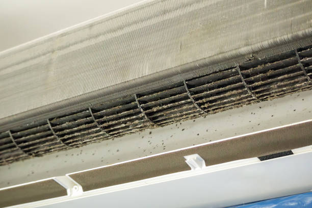 Best Commercial Air Duct Cleaning  in Lonville, GA